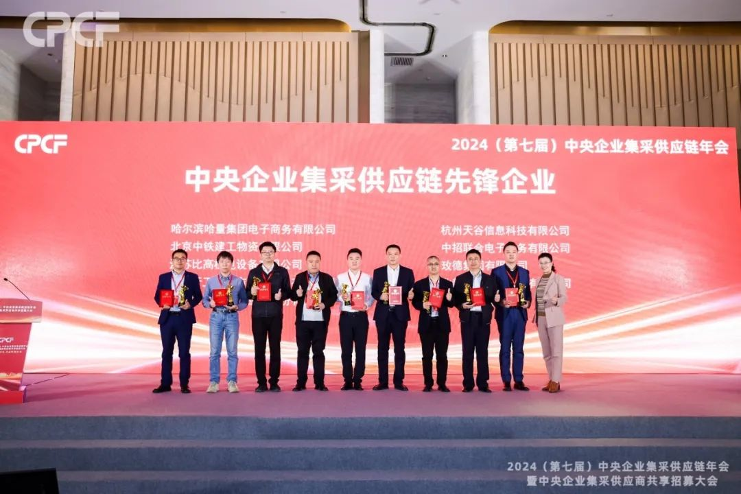 喜报！LDSports乐动荣获2024年度（CPCF）中央企业集采供应链年会先锋企业荣誉称号