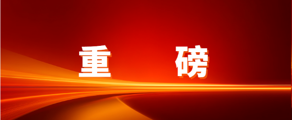 重磅！LDSports乐动入选深圳物流与供应链服务进出口企业30强，赋能企业出海